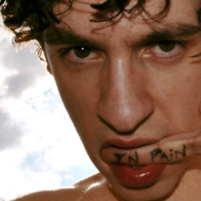 In Pain, Léo Ange — pochette